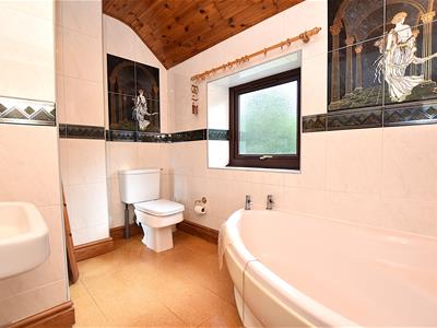 Picture 19